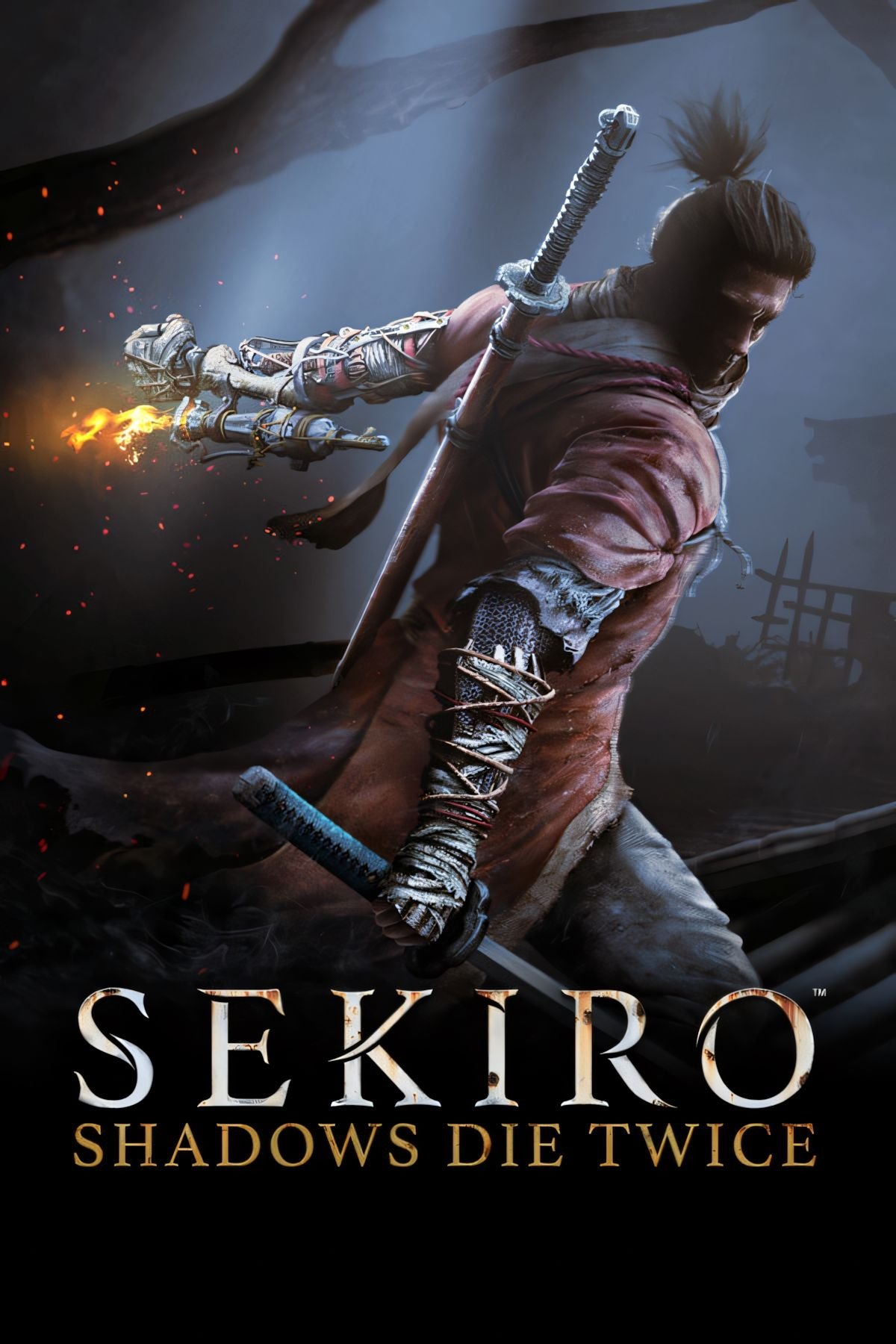 Sekiro Shadows Die Twice Tag Page Cover Art