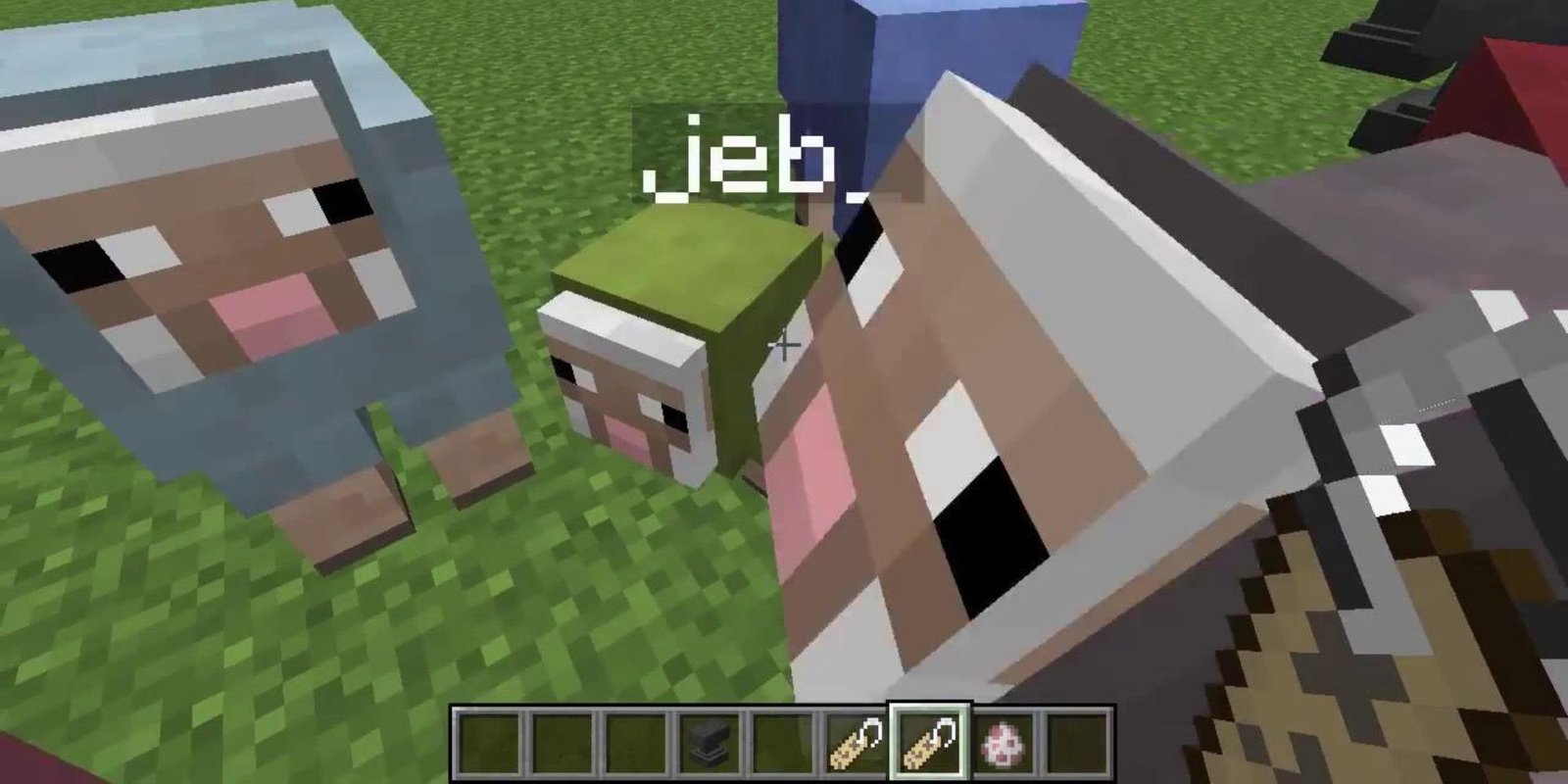 jeb sheep minecraft (1)