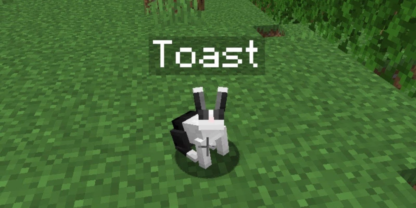 toast rabbit minecraft (1)