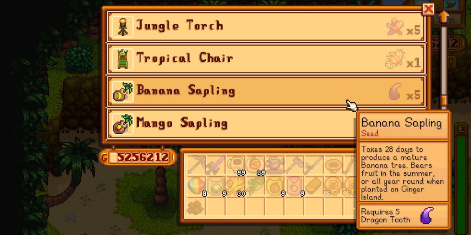 Banana Sapling at the Island Trader Stardew Valley