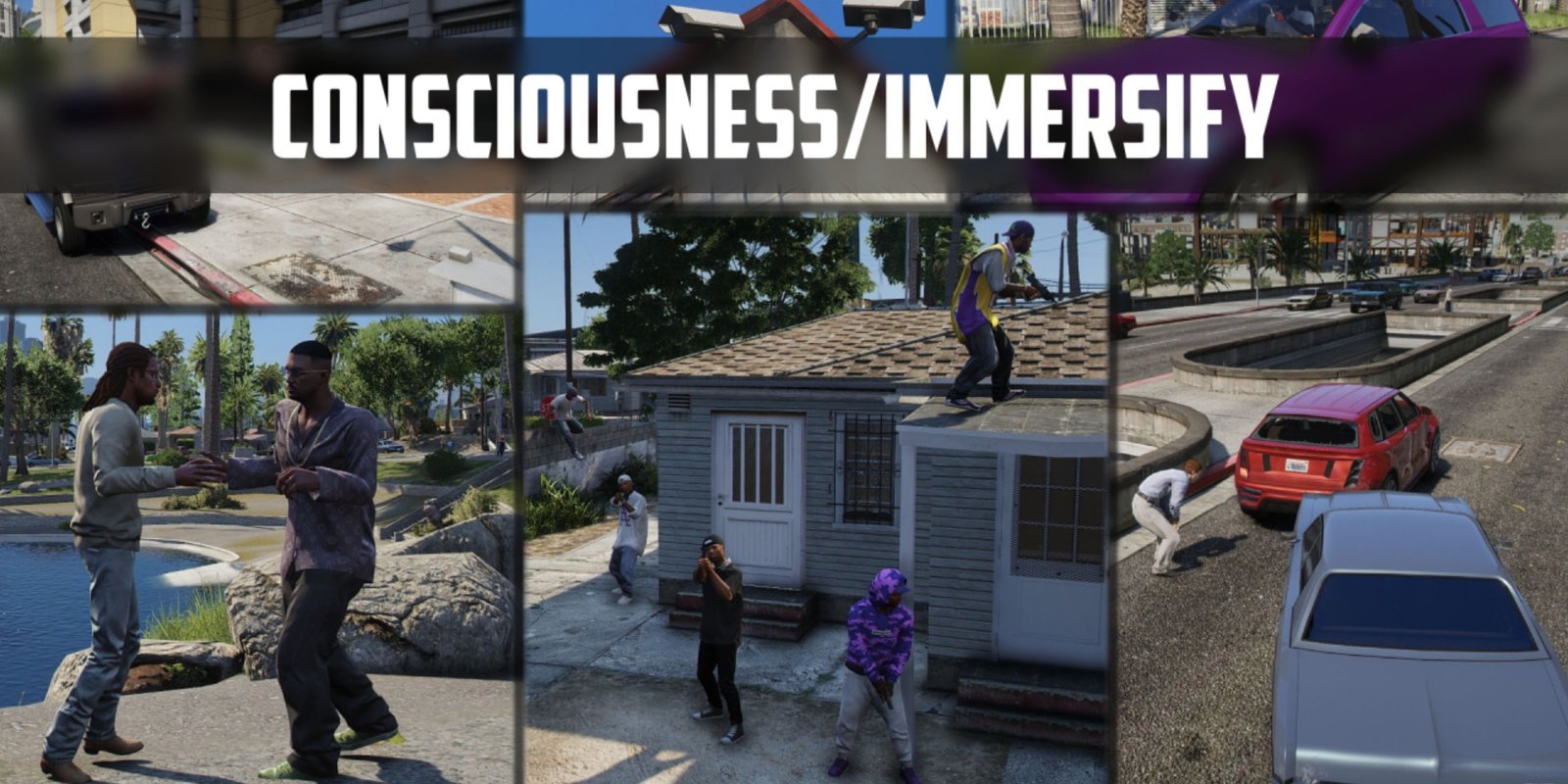 consciousness/immersify mod