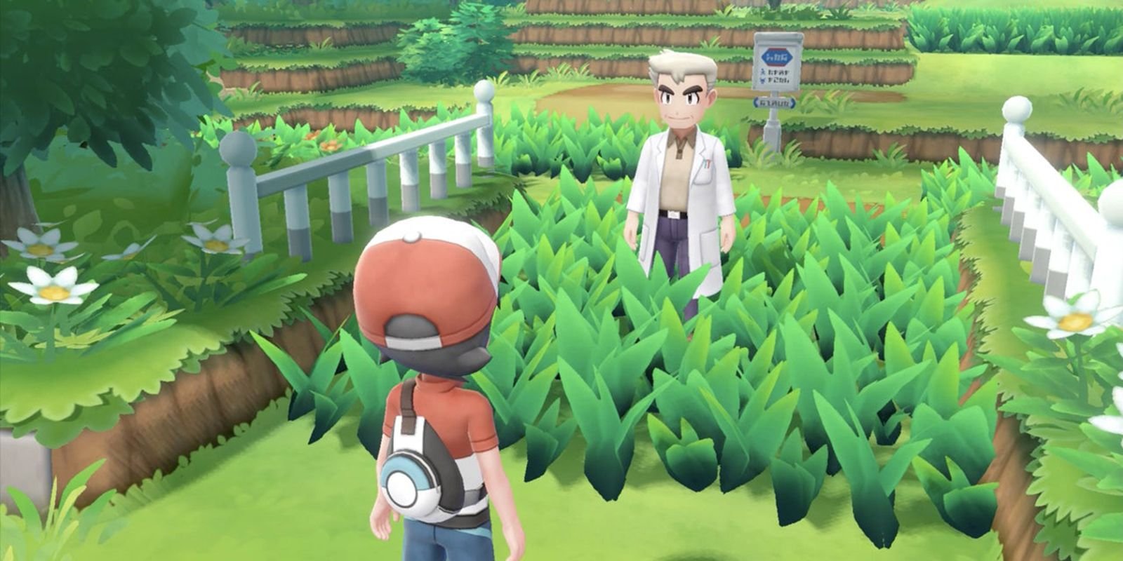 Pokemon Let's Go Professor Oak