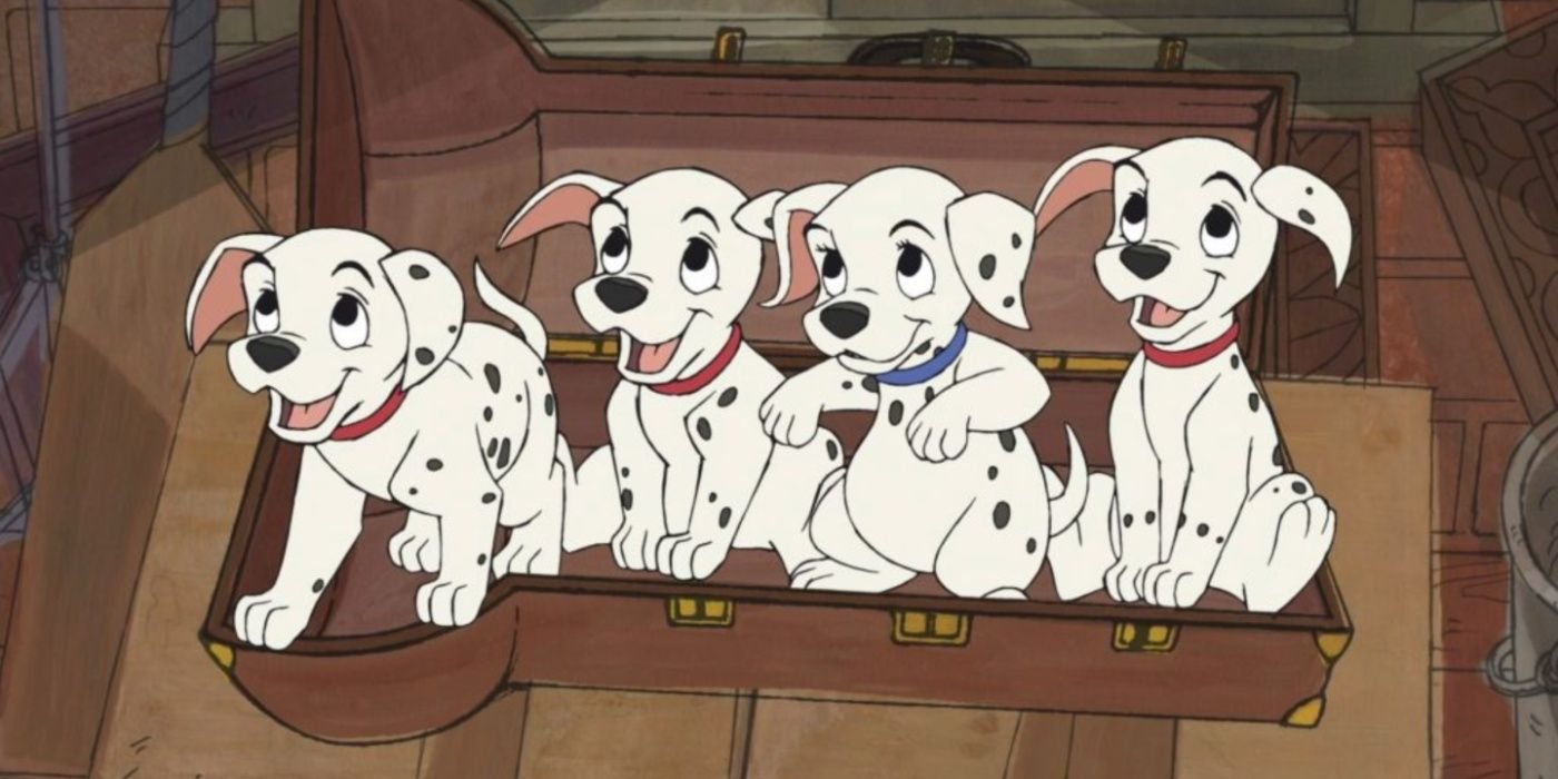 4 Dalmatians in a chest