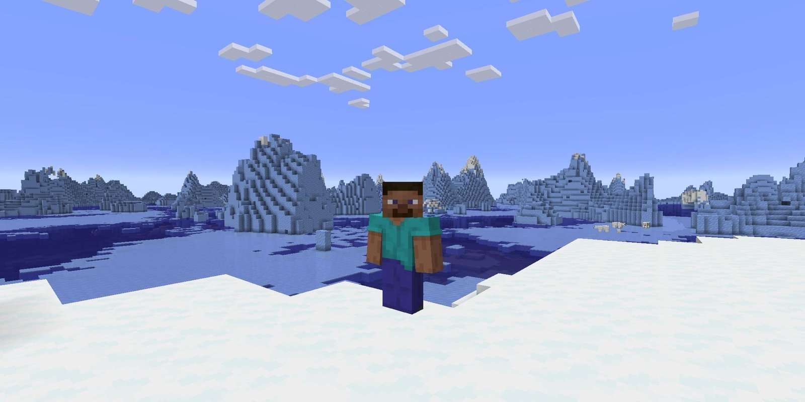 Steve in Minecraft