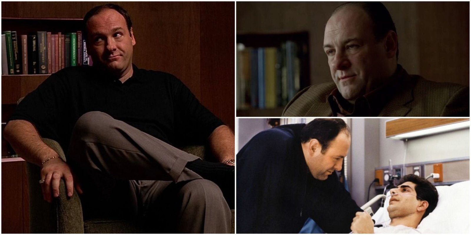 The Sopranos Tony's Best Quotes