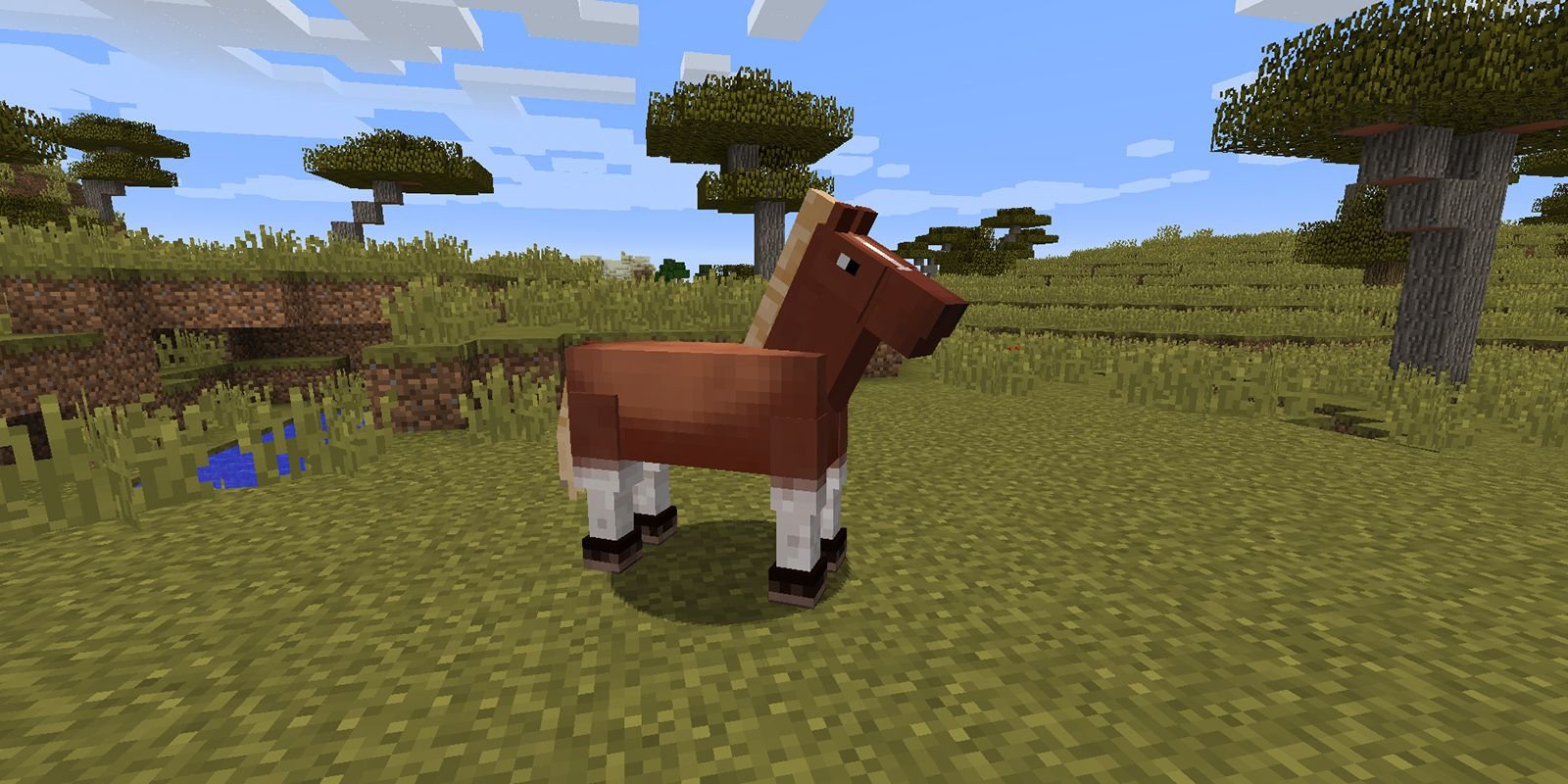 1735907344 529 How To Tame A Horse In Minecraft A Step By Step Guide