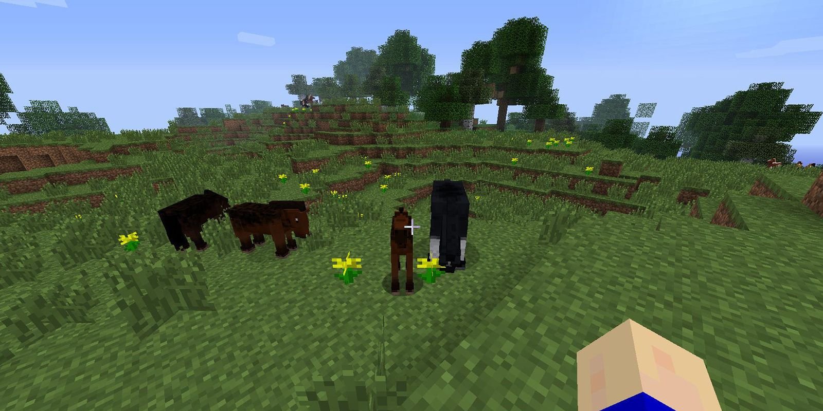 1735907345 205 How To Tame A Horse In Minecraft A Step By Step Guide