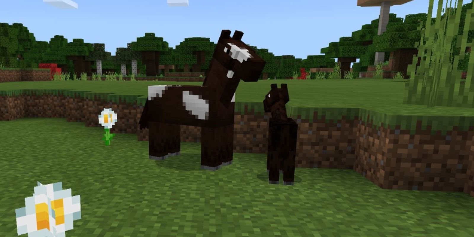 1735907345 798 How To Tame A Horse In Minecraft A Step By Step Guide