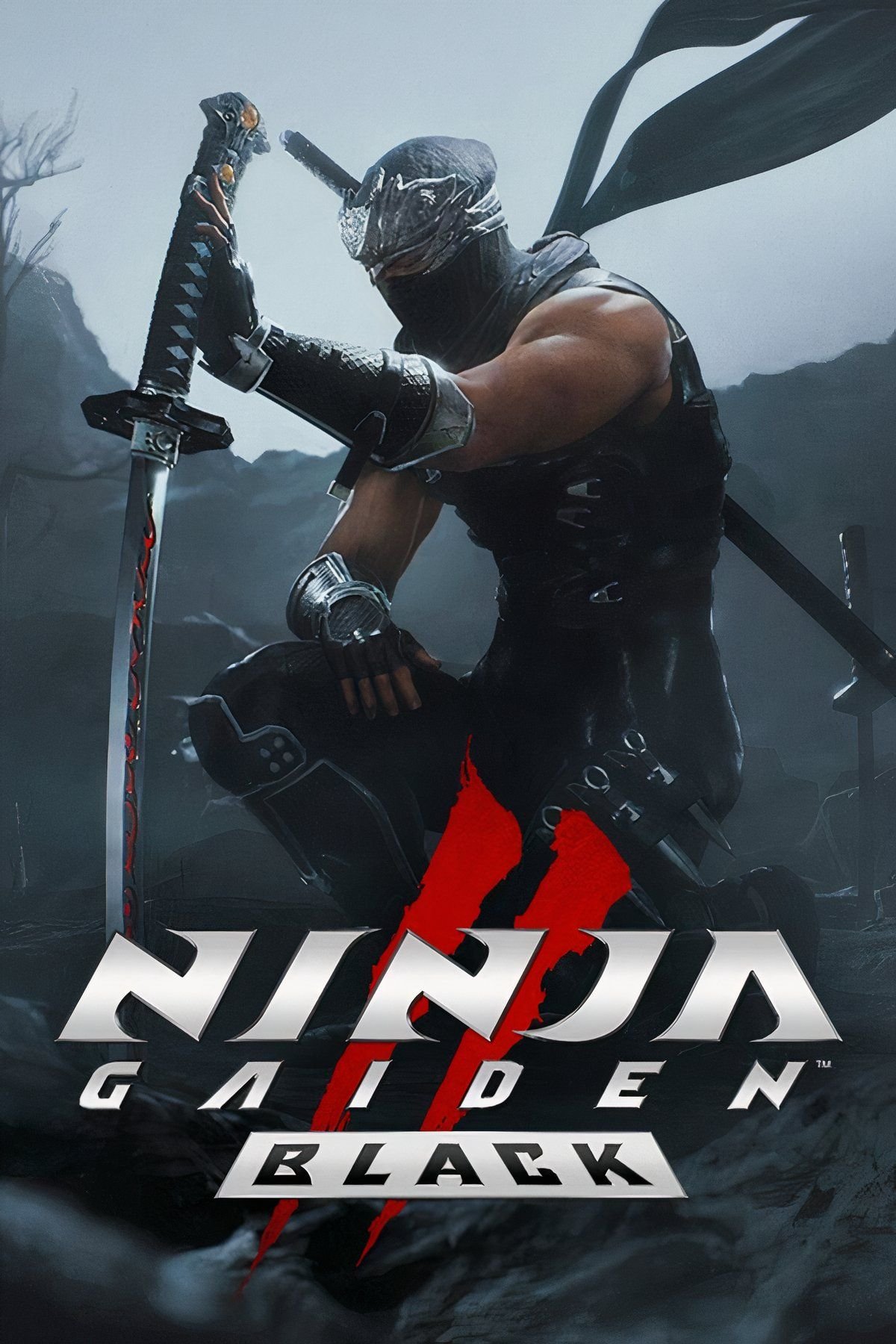 Ninja Gaiden 2 Black Tag Page Cover Art