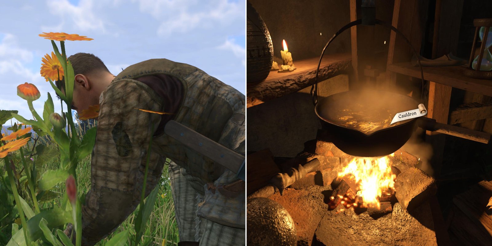 The Player Picking Herbs & Brewing A Potion 